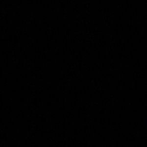 Meet your Posher, Isabella